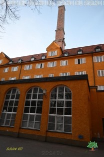  (Bild: Siedler Stefan)