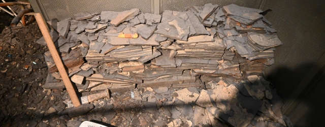 Grube Messel: Wie Messel dem Müll entkam