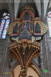 Die Schwalbennestorgel ist hoch an der Nordwand des gotischen Langhauses angebracht. (Bild: Stefan Siedler)