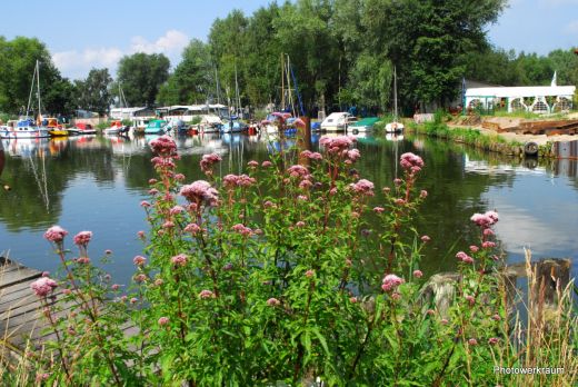 Im Hafenbecken am Achterwasser