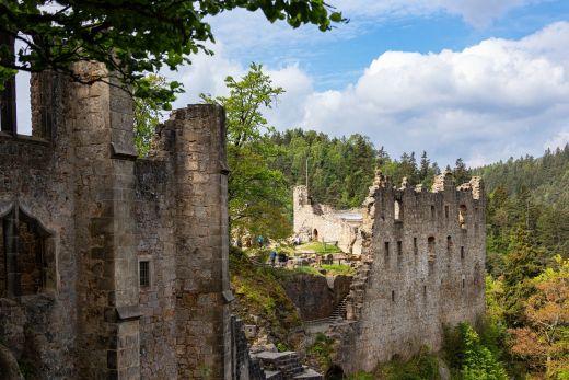 Klosterruine und Kaiserhaus vom Bergfriedhof aus